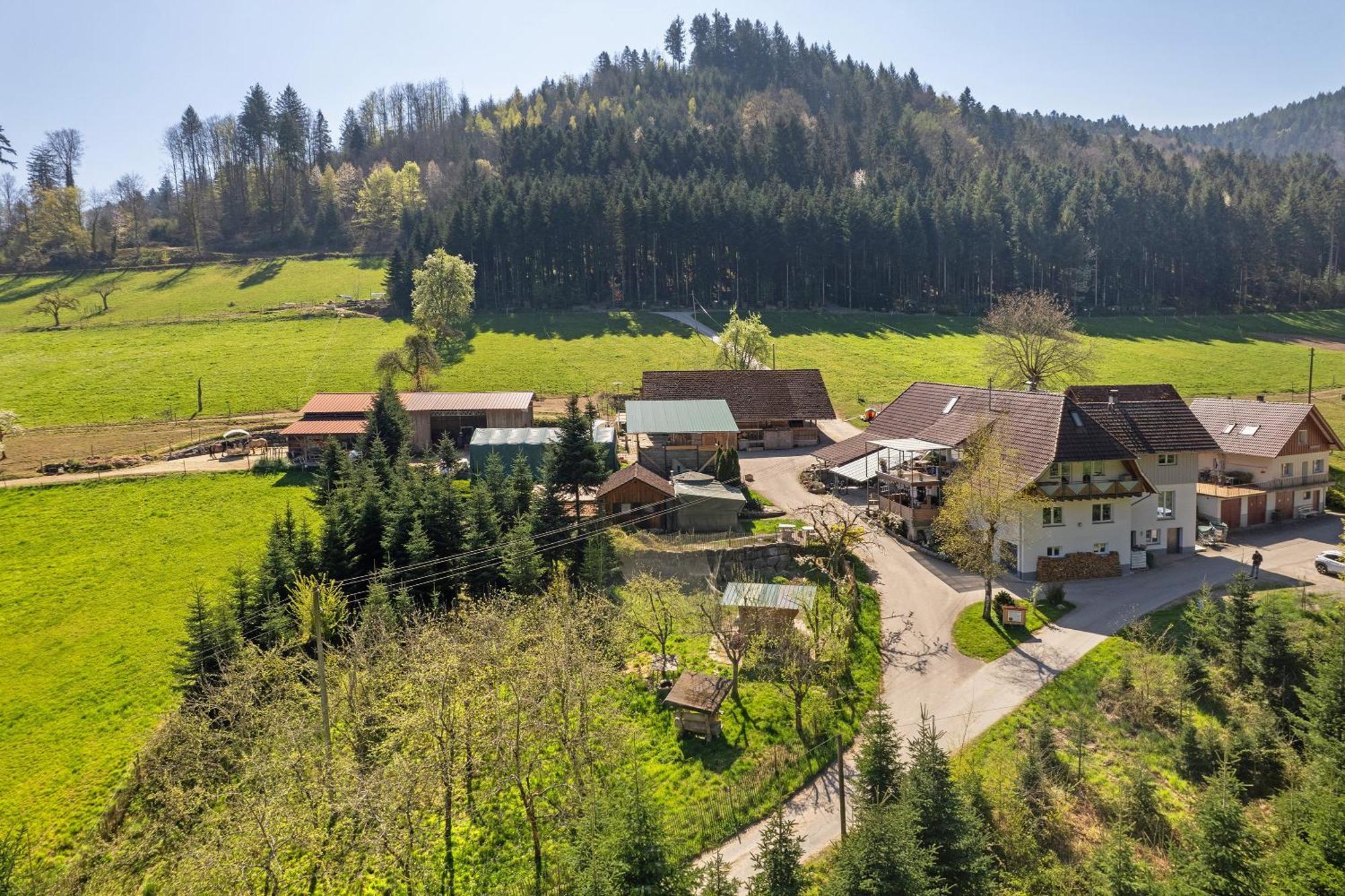 Villa Muellerleile Hof à Haslach im Kinzigtal Extérieur photo